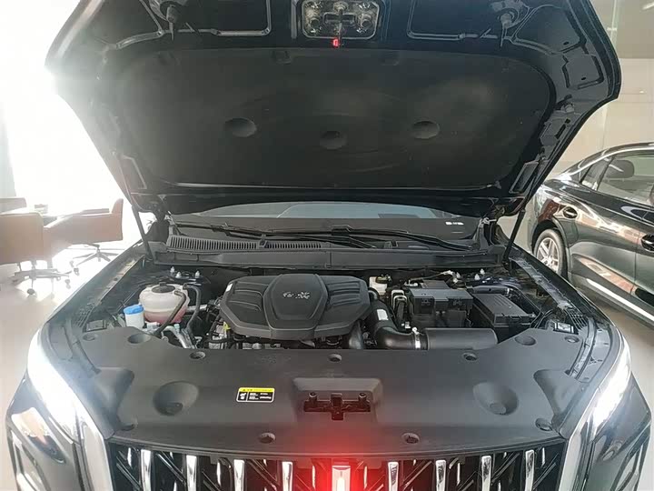 Фото 20 - Hongqi HS5