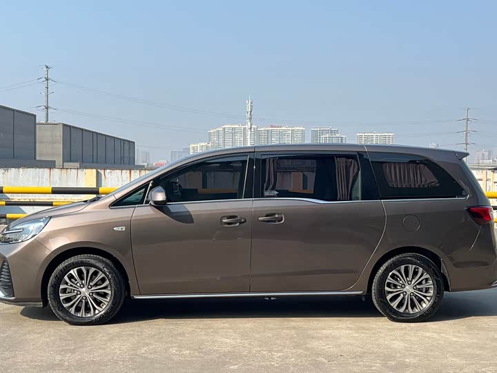 Фото 5 - Buick GL8 ES