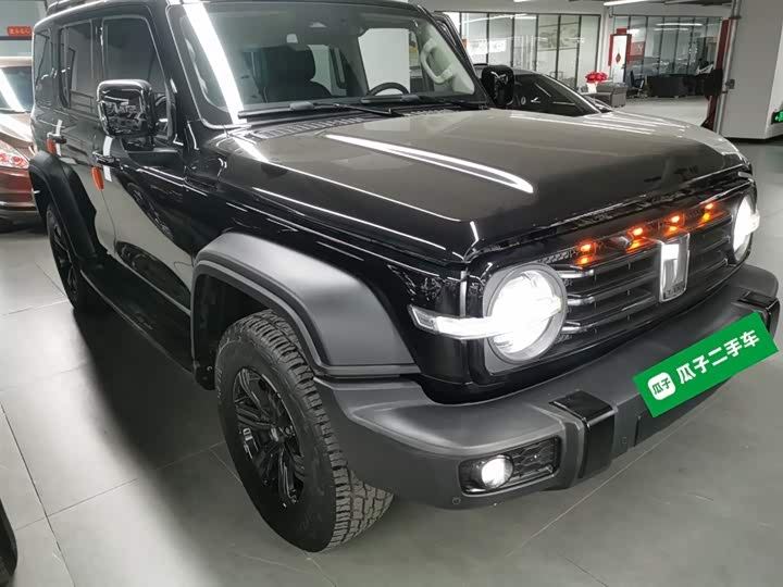 Фото 4 - Tank 300