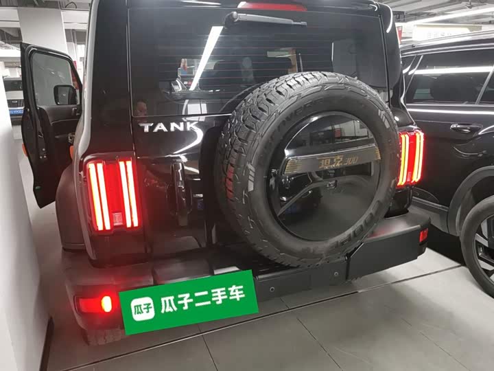 Фото 6 - Tank 300