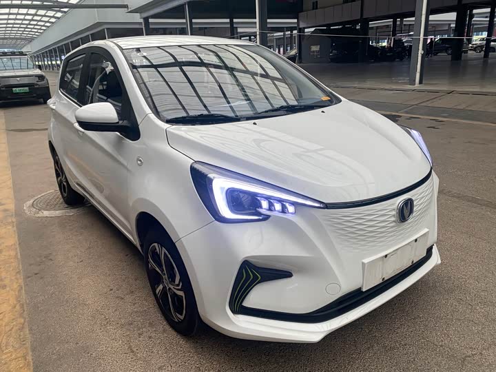 Фото 3 - Changan BenBen E-Star