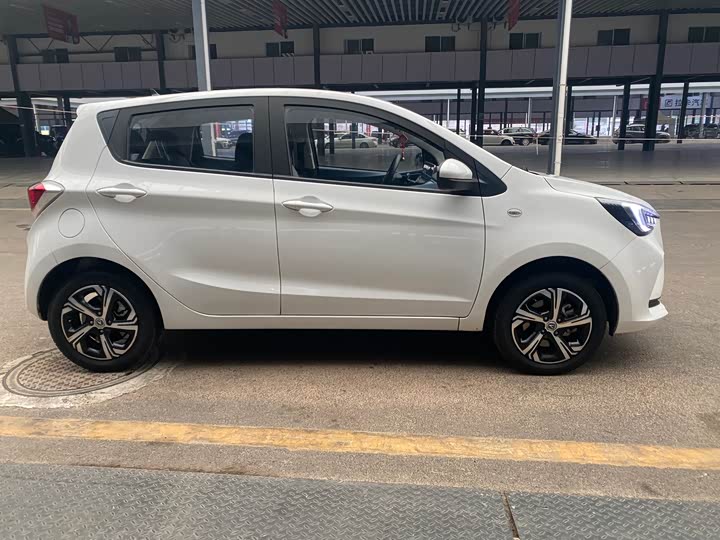 Фото 4 - Changan BenBen E-Star