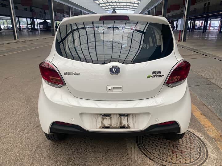 Фото 8 - Changan BenBen E-Star