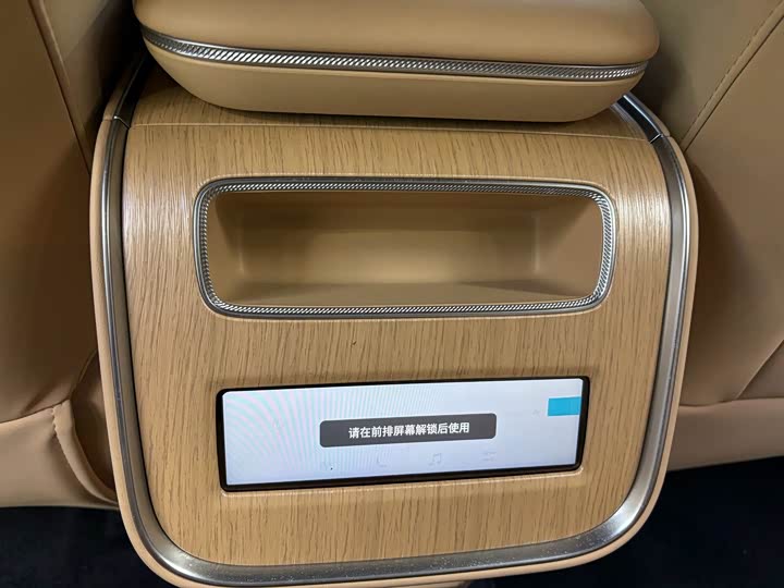 Фото 11 - Exeed Sterra ET