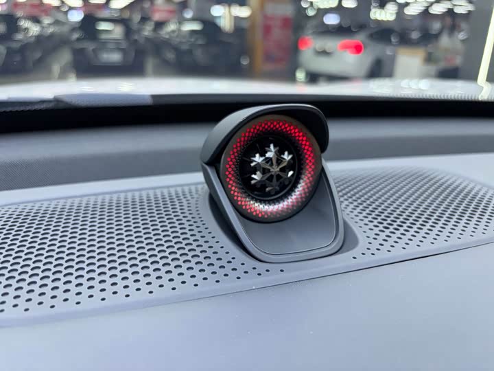 Фото 7 - Exeed Sterra ET