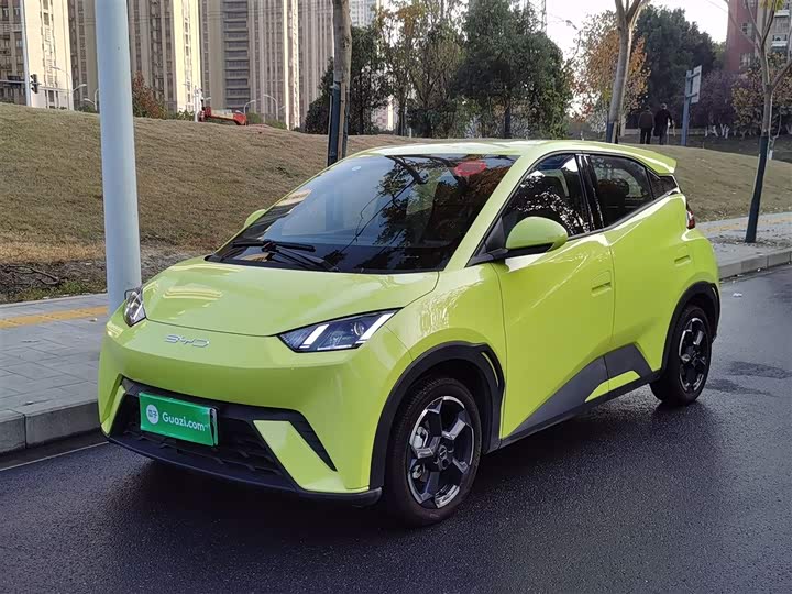 Фото 2 - BYD Seagull