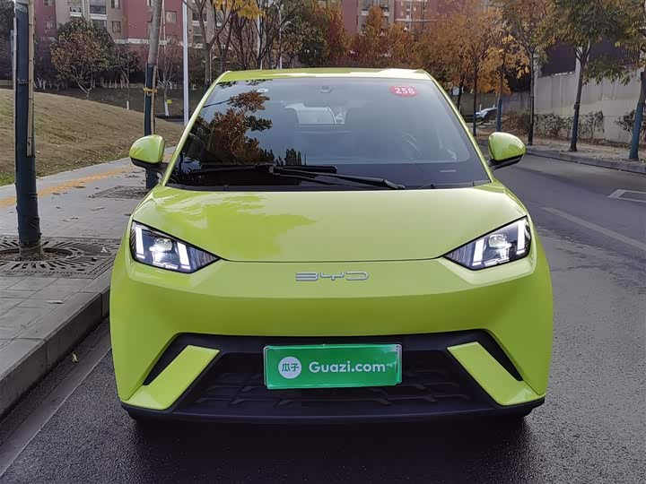 Фото 3 - BYD Seagull