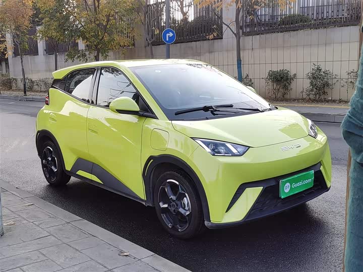 Фото 4 - BYD Seagull