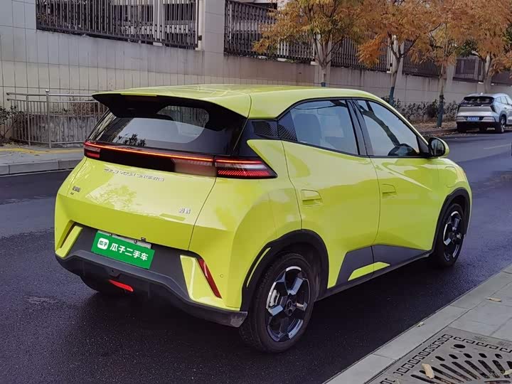 Фото 7 - BYD Seagull