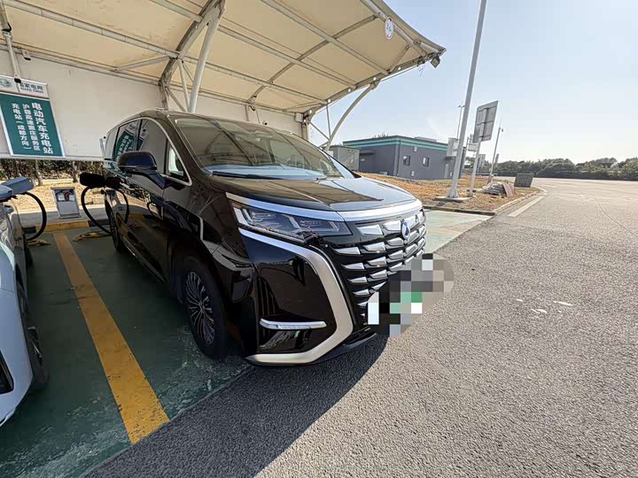 Фото 3 - Denza D9