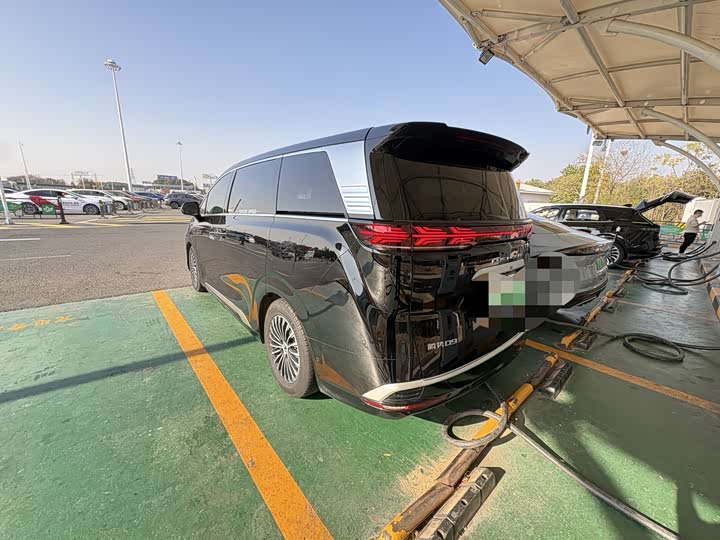 Фото 5 - Denza D9