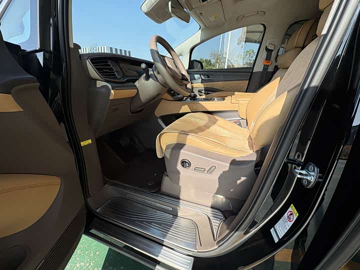 Фото 8 - Denza D9