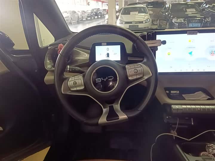 Фото 11 - BYD Dolphin