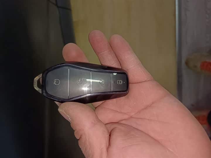 Фото 9 - BYD Dolphin