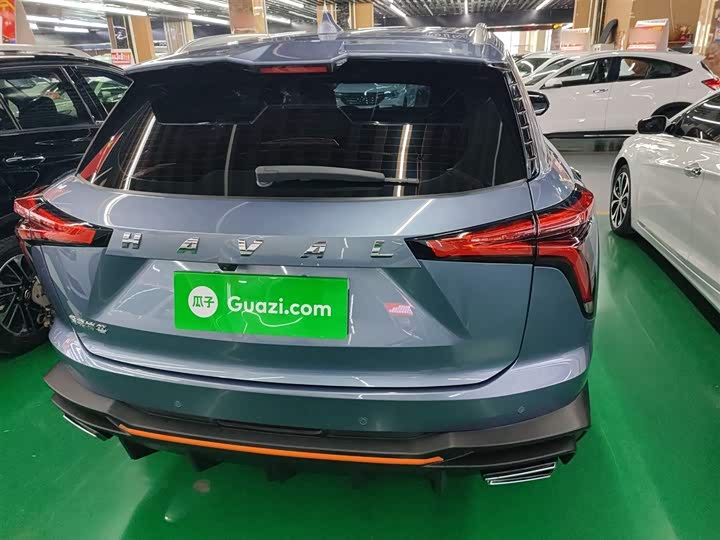 Фото 6 - Haval F7 (Monster)