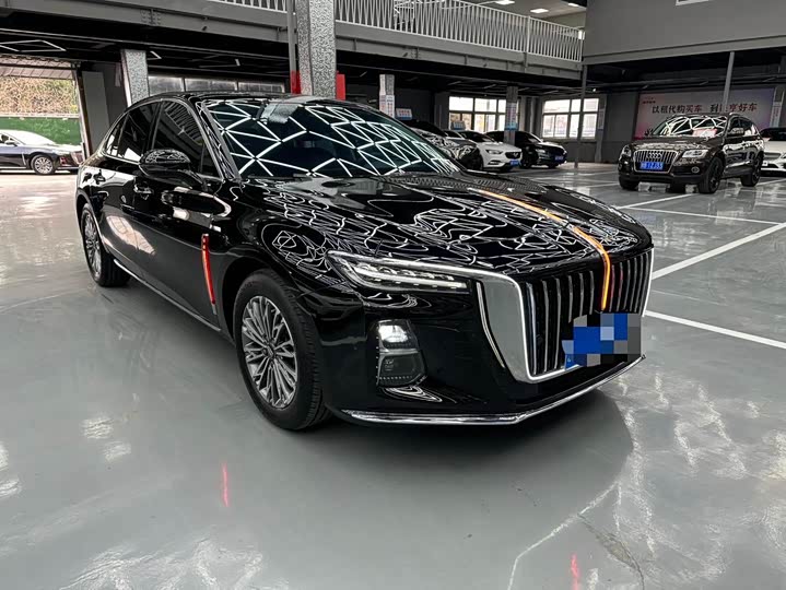 Фото 3 - Hongqi H5