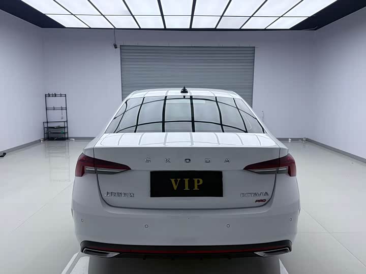 Фото 5 - Skoda Octavia Pro