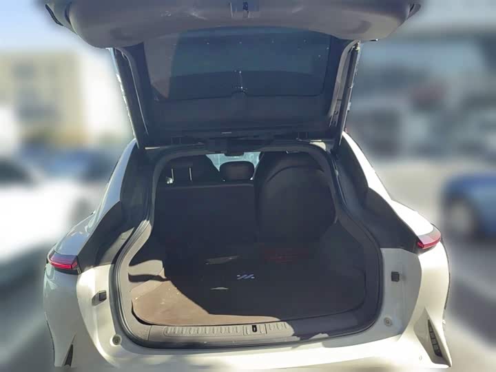 Фото 10 - IM motors LS7