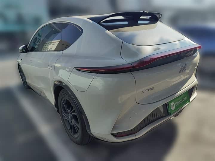 Фото 27 - IM motors LS7