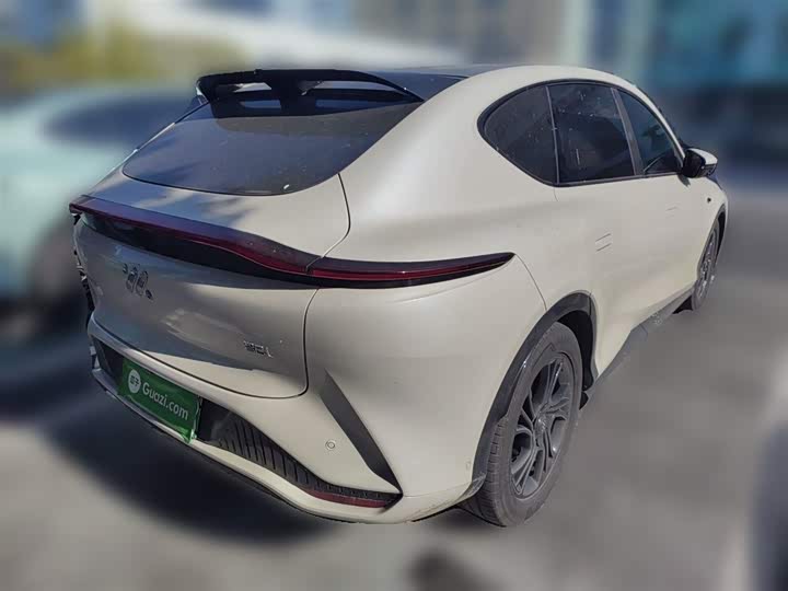 Фото 29 - IM motors LS7