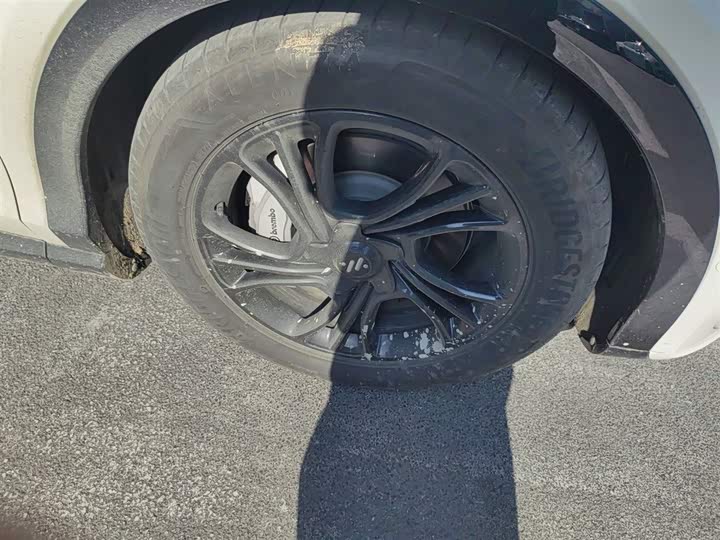 Фото 31 - IM motors LS7