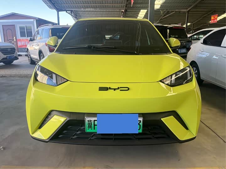 Фото 2 - BYD Seagull