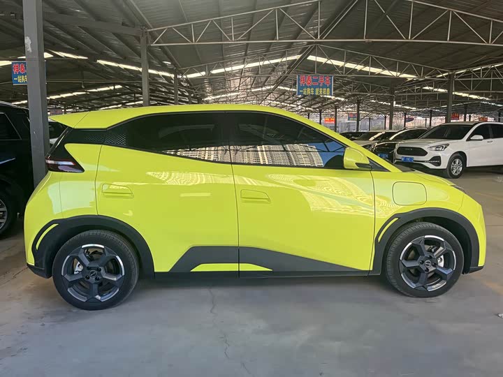 Фото 3 - BYD Seagull