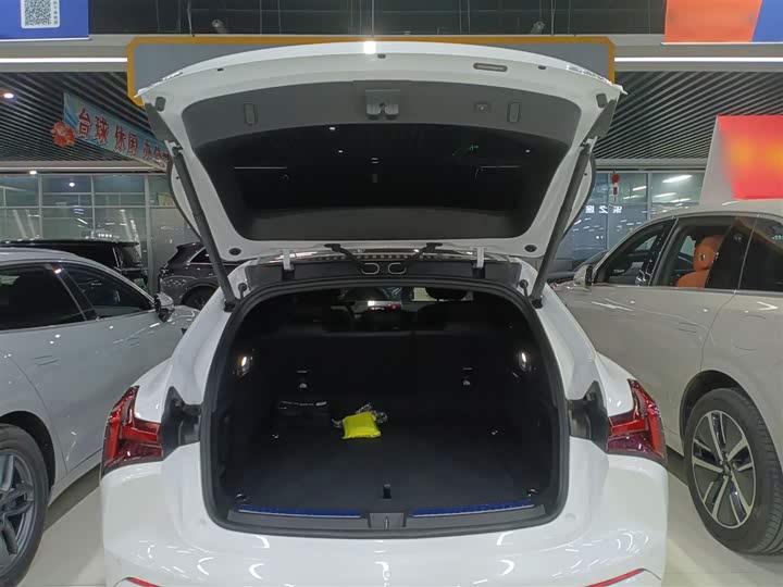 Фото 19 - Hozon S Hunting