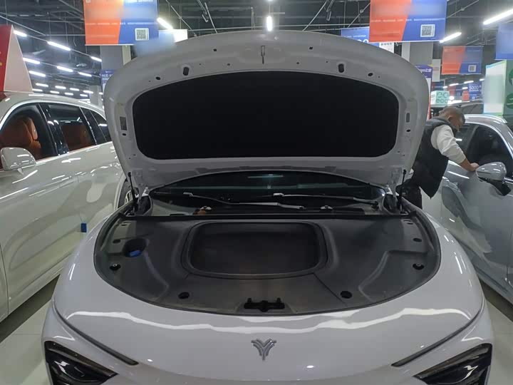 Фото 20 - Hozon S Hunting