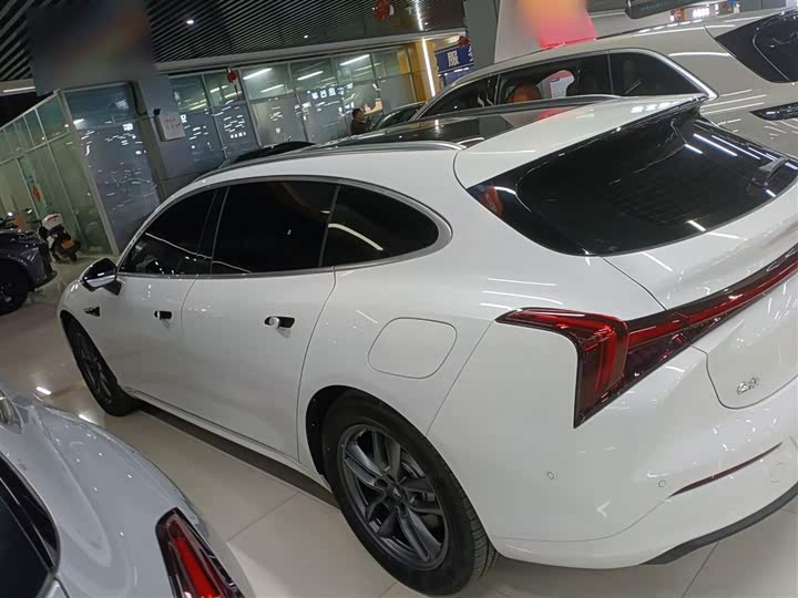 Фото 5 - Hozon S Hunting