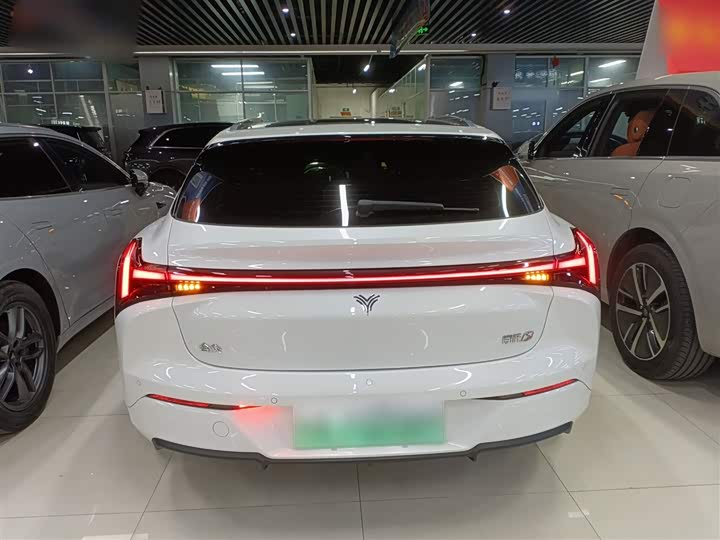 Фото 6 - Hozon S Hunting