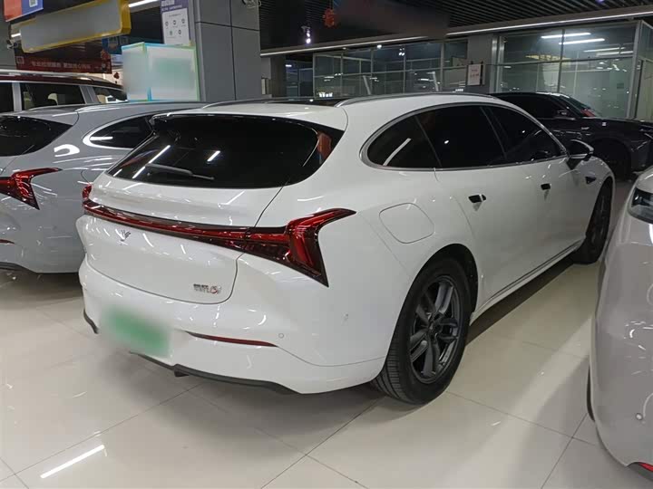 Фото 7 - Hozon S Hunting