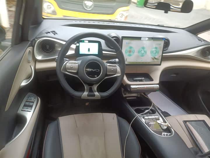 Фото 11 - BYD Dolphin