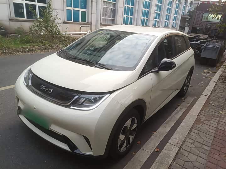 Фото 2 - BYD Dolphin