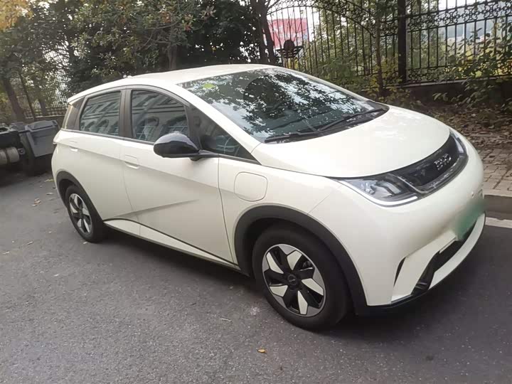 Фото 4 - BYD Dolphin