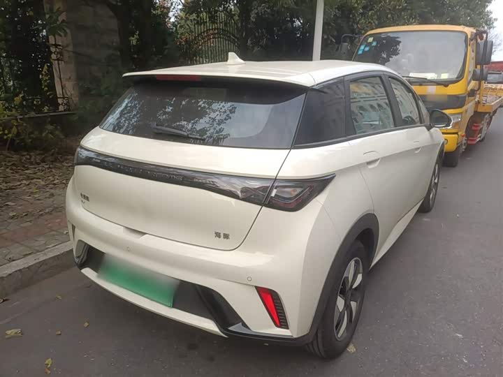 Фото 7 - BYD Dolphin