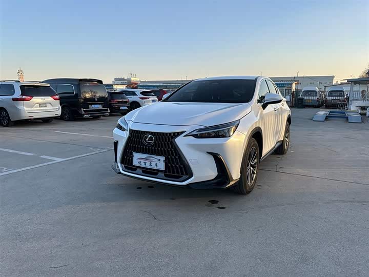Фото 1 - Lexus NX
