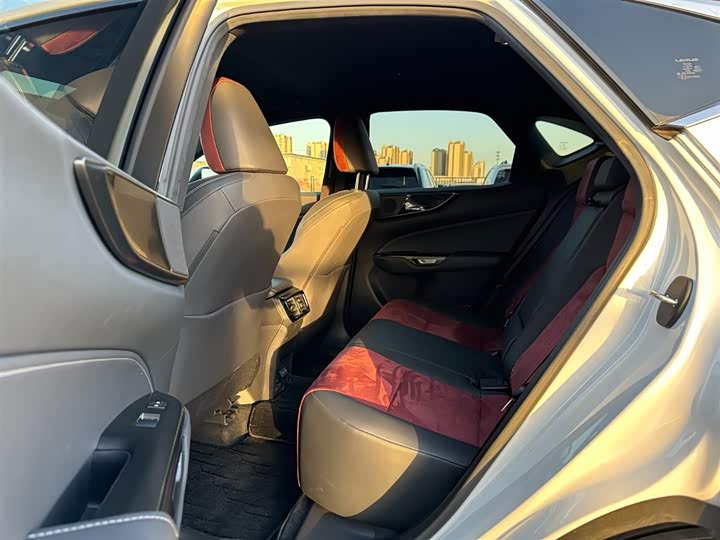 Фото 10 - Lexus NX