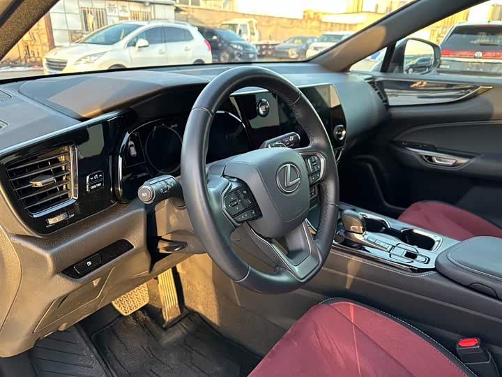 Фото 14 - Lexus NX