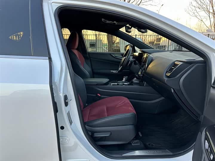 Фото 17 - Lexus NX