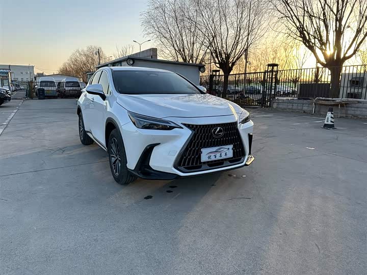 Фото 3 - Lexus NX