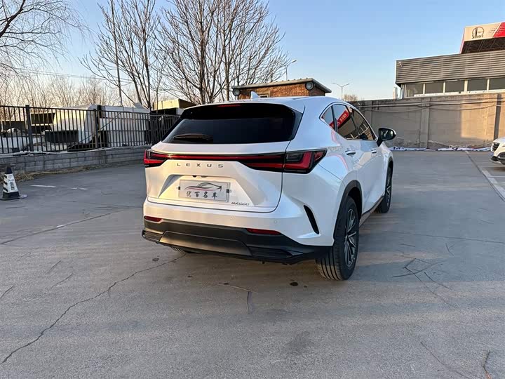 Фото 6 - Lexus NX