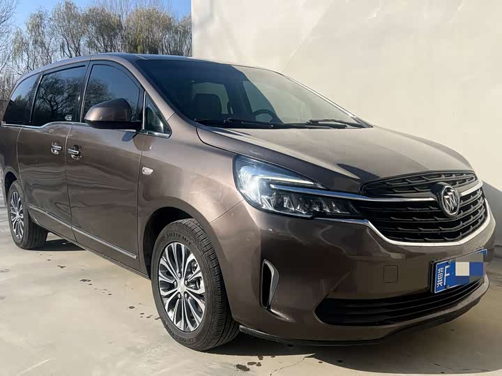 Фото 2 - Buick GL8 ES