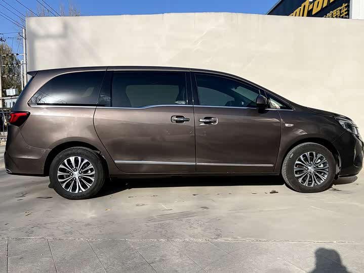 Фото 5 - Buick GL8 ES