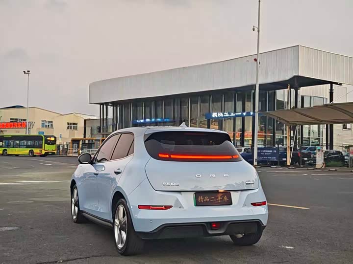 Фото 7 - Ora Good Cat (03)