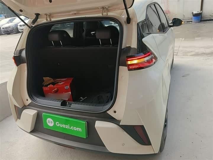 Фото 19 - BYD Seagull