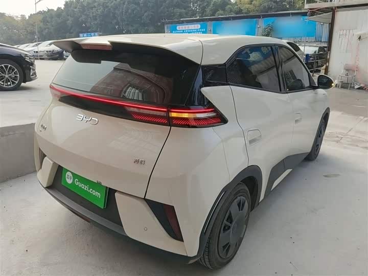 Фото 7 - BYD Seagull