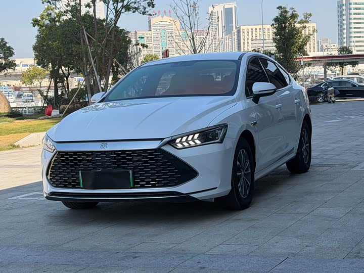 Фото 1 - BYD Qin Plus