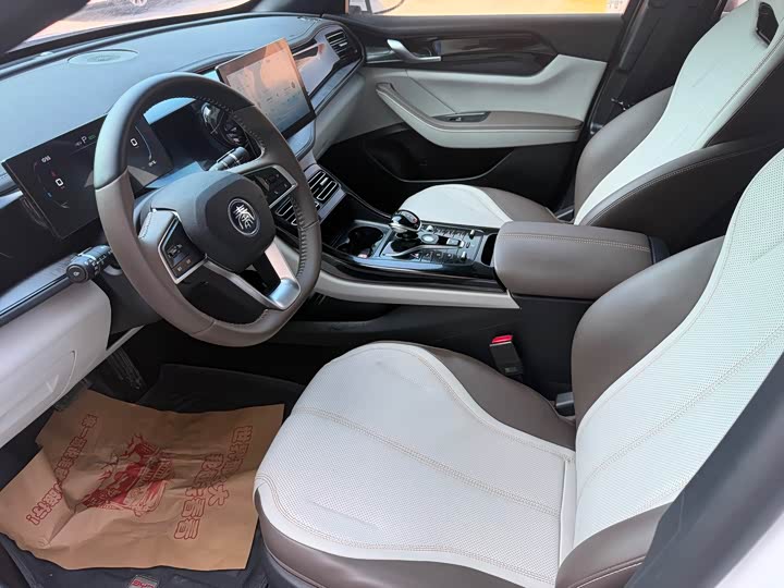 Фото 7 - BYD Qin Plus