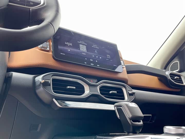 Фото 16 - Geely Icon